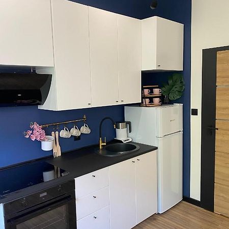 Przytulny I Nowoczesny Apartament Malgosi, 10 Min Pieszo Od Dworca I Galerii Katowice Eksteriør billede