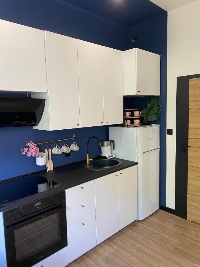 Przytulny I Nowoczesny Apartament Malgosi, 10 Min Pieszo Od Dworca I Galerii Katowice Eksteriør billede
